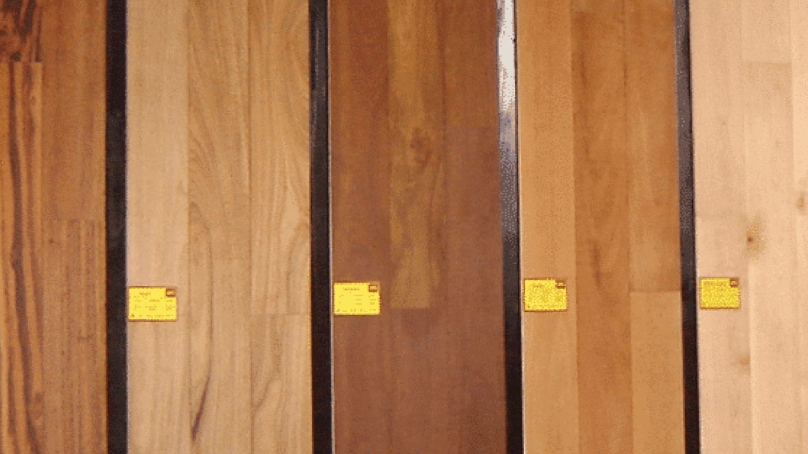 baxhouthandel barneveld_11zon